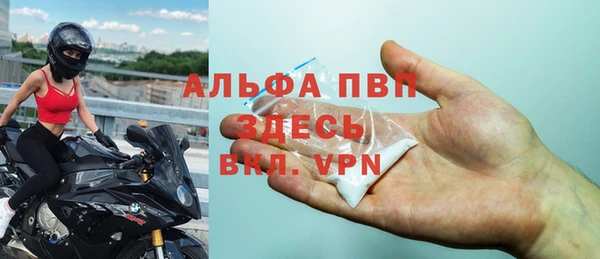 индика Алзамай