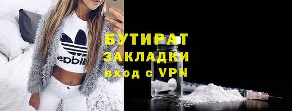 индика Алзамай