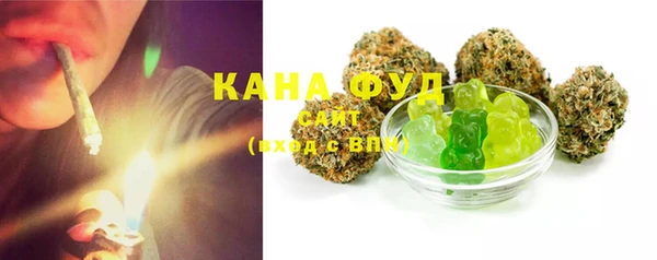 индика Алзамай