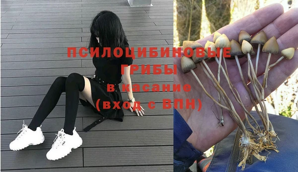 мяу мяу кристалл Алексин