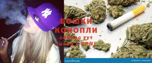 индика Алзамай