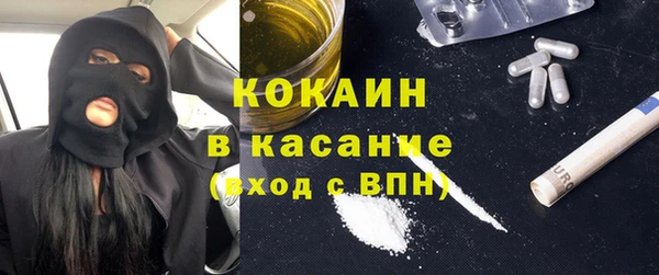 индика Алзамай